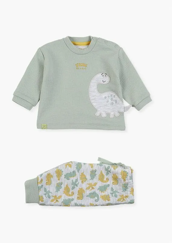 Conjunto Dinosaurio Bebé Losan