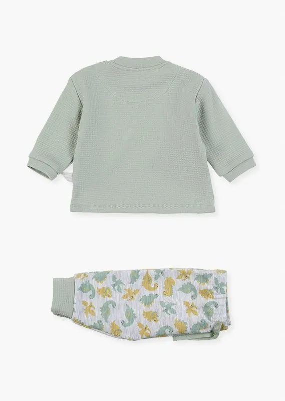 Conjunto Dinosaurio Bebé Losan