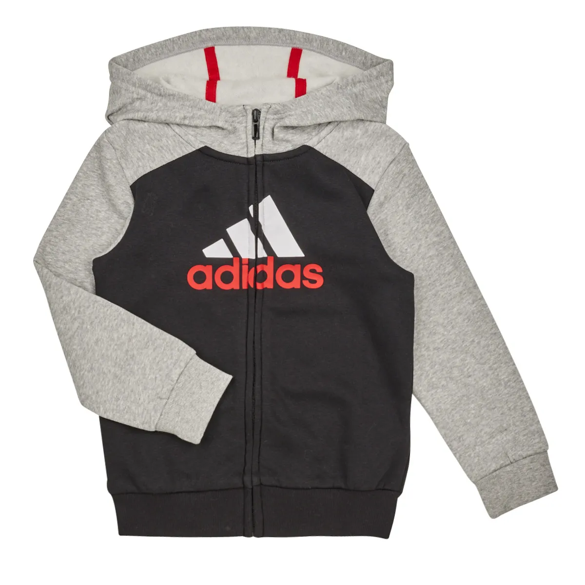 LK BL FL TS